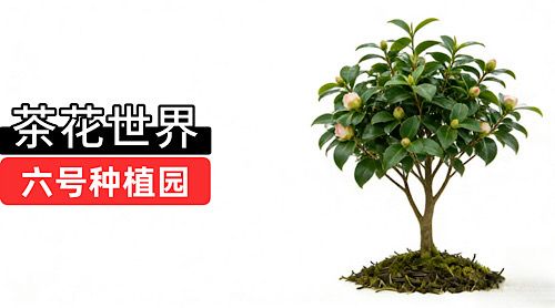 手机模块3_02